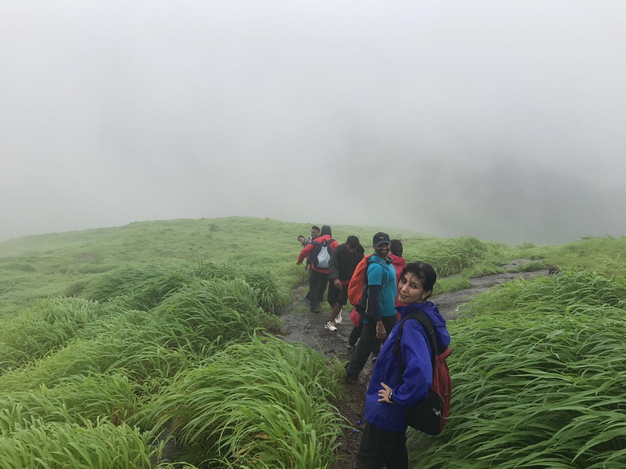 what trekking reminded about investing